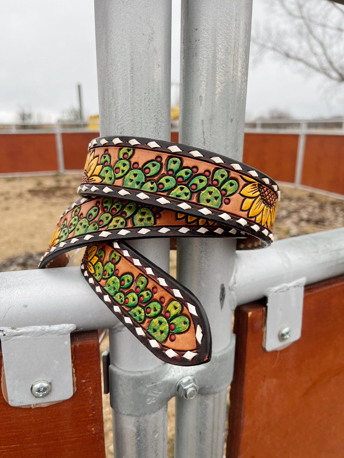 The Sunflower Cactus Belt