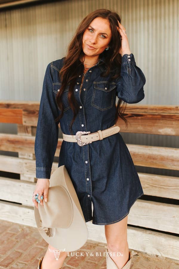 Daisy Button Down Long Sleeve Denim Dress
