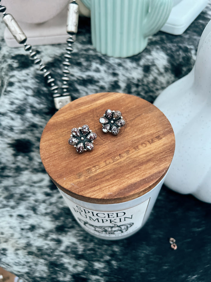 The Wild Horse Cluster Studs