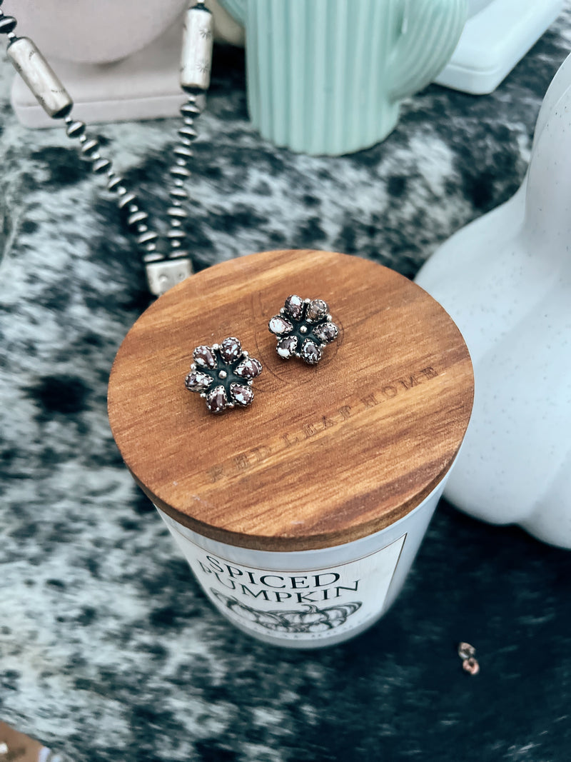 The Wild Horse Cluster Studs
