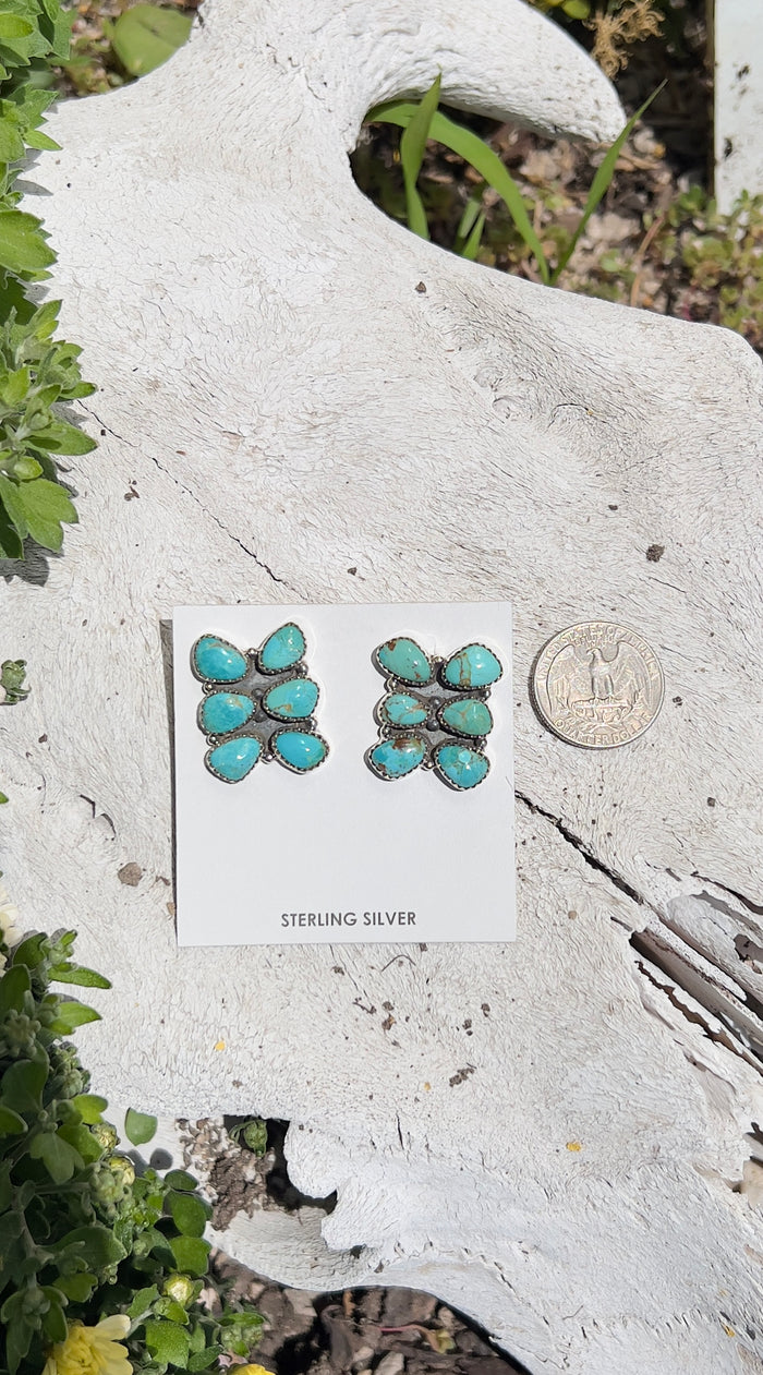 The Samantha Six Stone Clusters