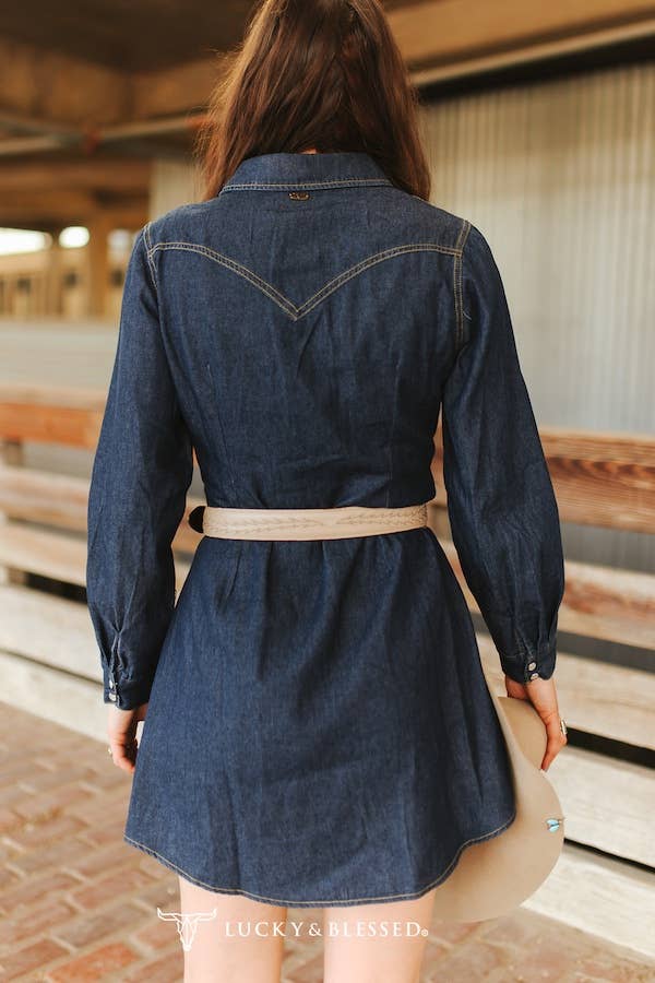 Daisy Button Down Long Sleeve Denim Dress