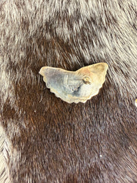 The Kaylee Green Half Clusters