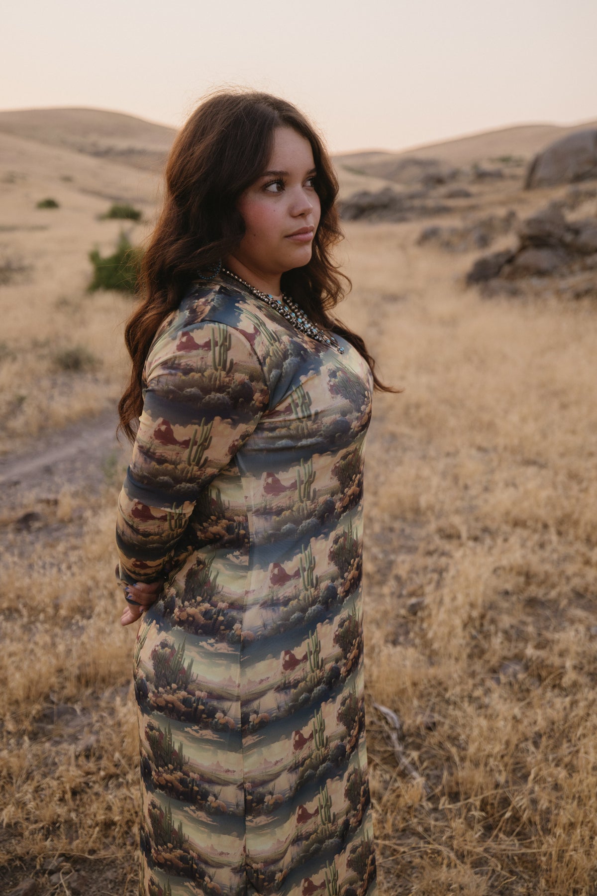 The Wanderlust Desert Dress