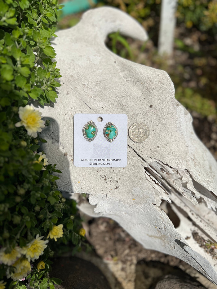 The Sonoran gold Stud Earrings