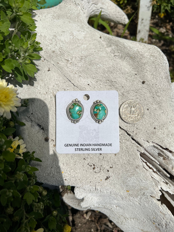 The Sonoran gold Stud Earrings