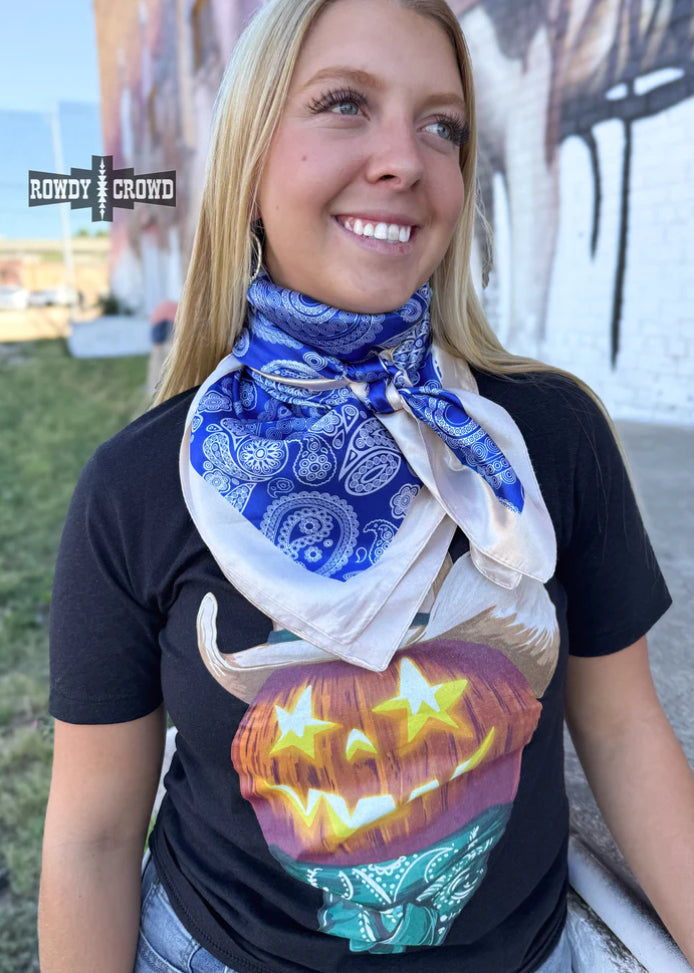 The Cowgirl Paisley Wild Rag